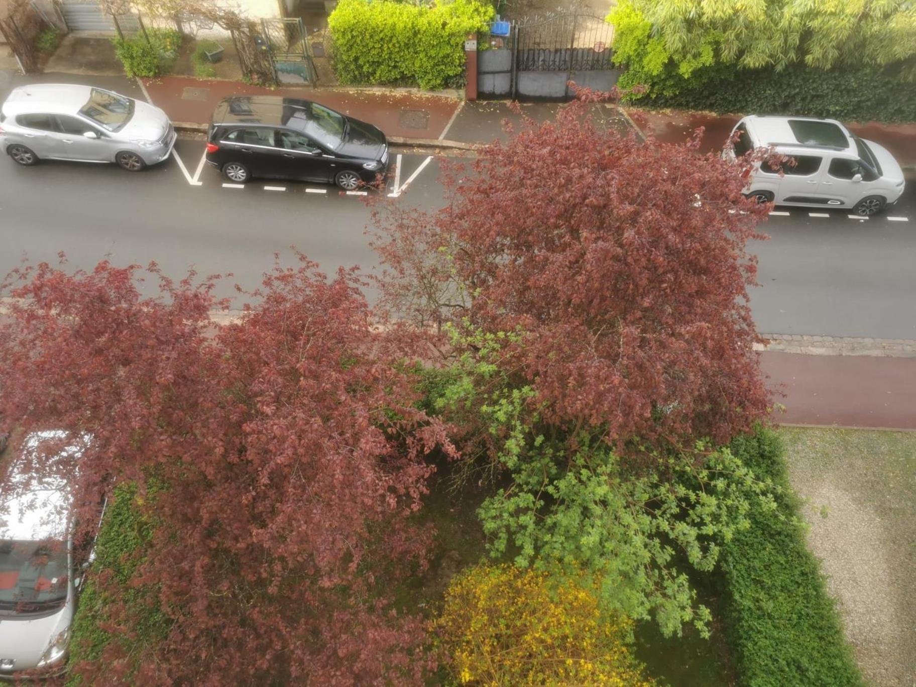 Appartement 3 Pieces A Seulement 5Km De Paris - For 2 To 7 Guests ! Fontenay-aux-Roses Esterno foto